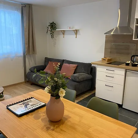 Charme Riquet Jean Jaures Appartement *