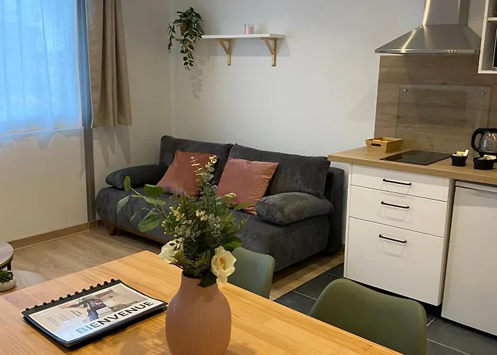 Charme Riquet Jean Jaures Appartement *